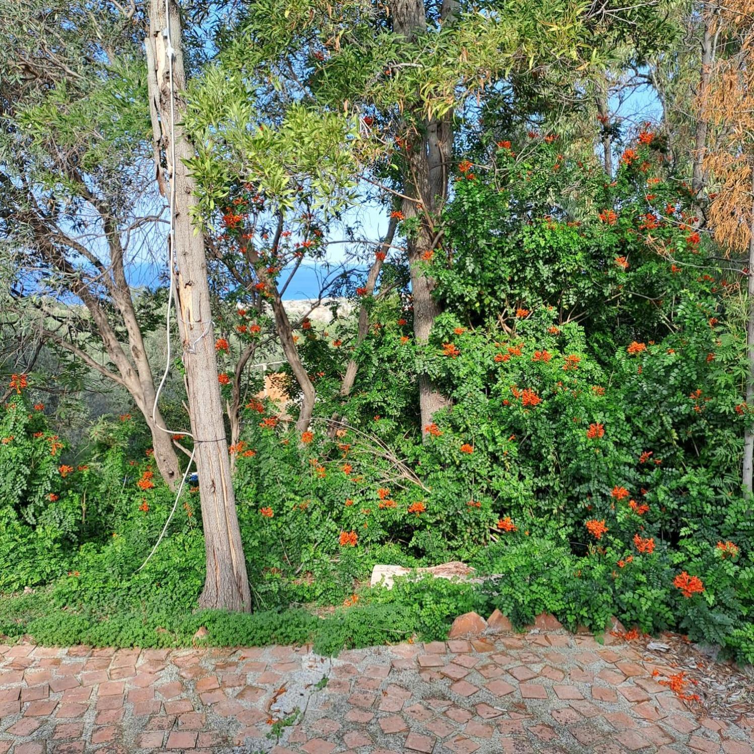 Villa Gatto Rometta Marea Dış mekan fotoğraf